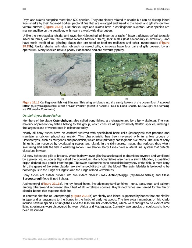 Biology - Front Matter 871