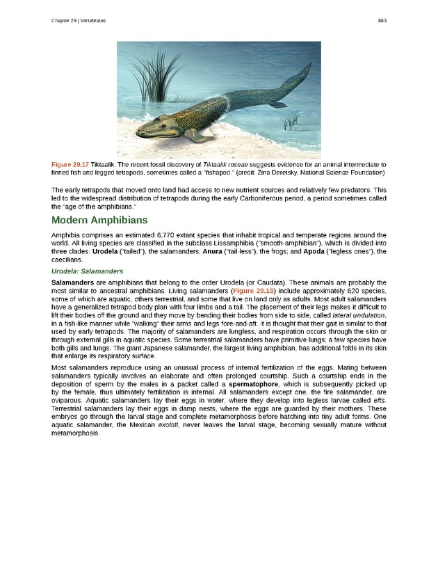 Biology - Front Matter 874