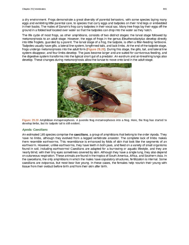 Biology - Front Matter 876