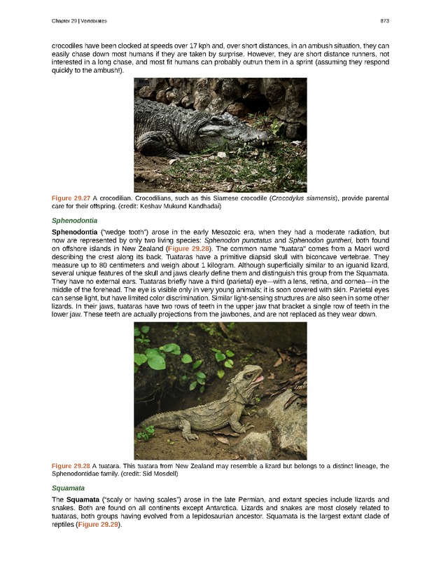 Biology - Front Matter 884