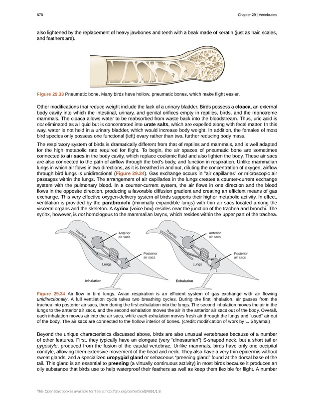 Biology - Front Matter 889