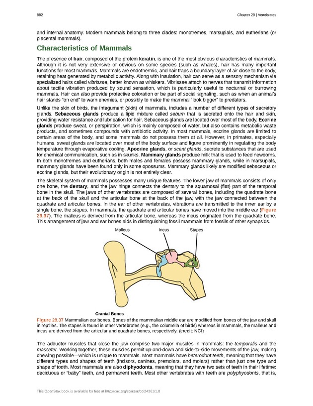 Biology - Front Matter 893