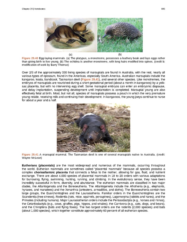 Biology - Front Matter 896