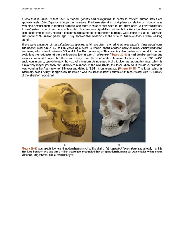 Biology - Front Matter 902