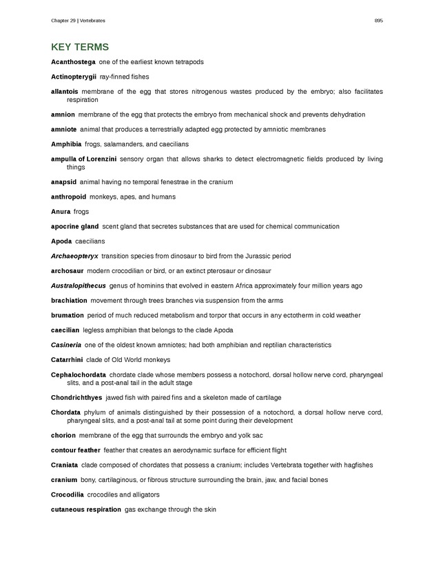 Biology - Front Matter 906