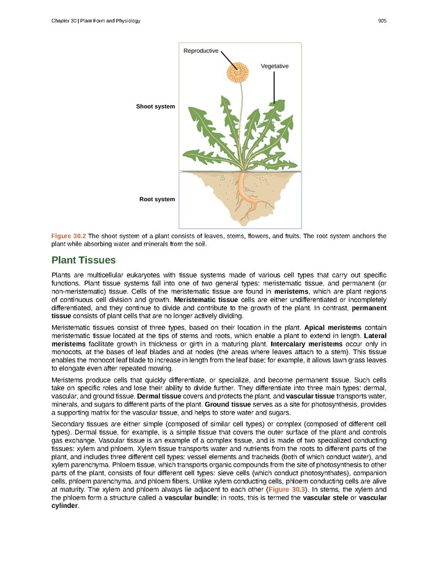 Biology - Front Matter 916