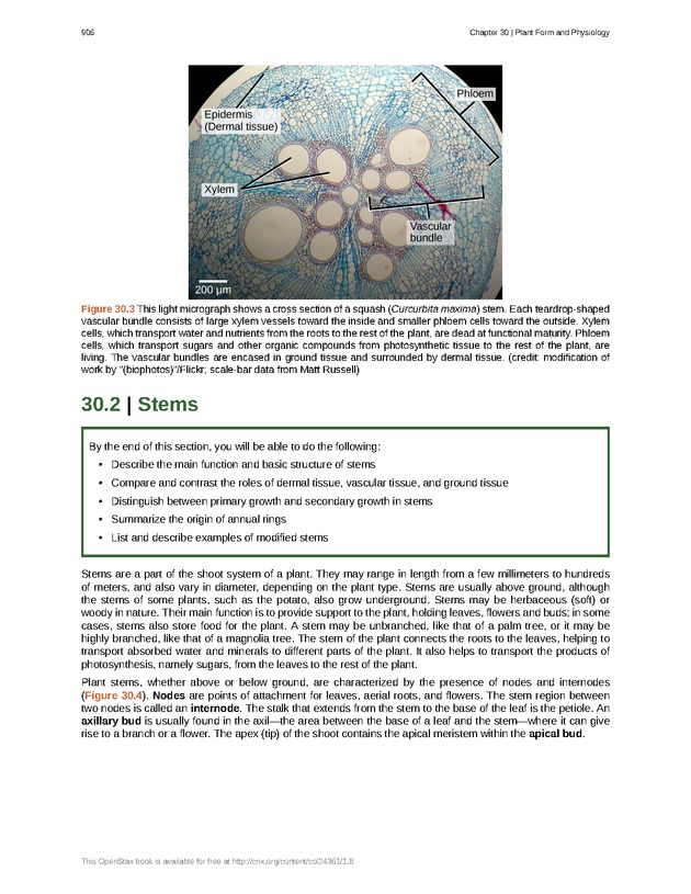 Biology - Front Matter 917