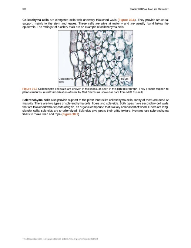 Biology - Front Matter 919