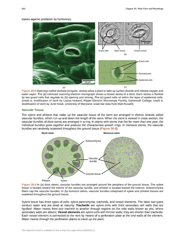 Biology - Front Matter 921