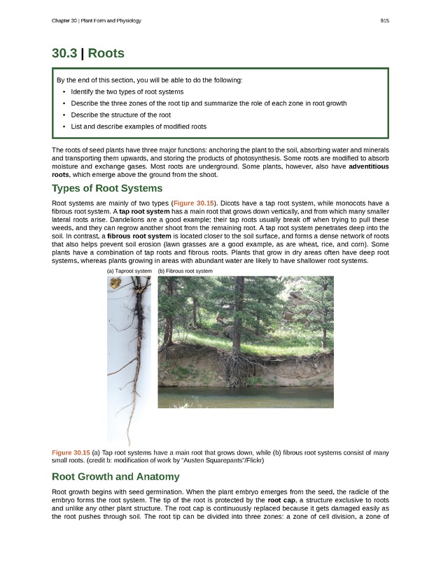 Biology - Front Matter 926