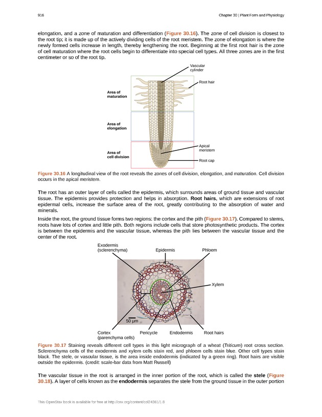Biology - Front Matter 927