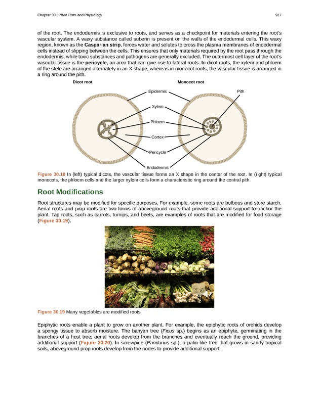 Biology - Front Matter 928