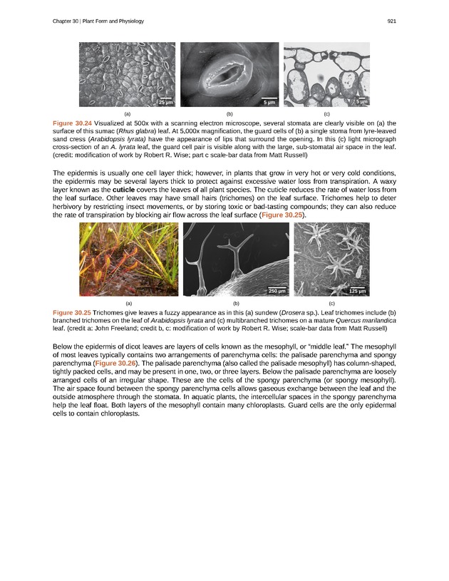 Biology - Front Matter 932