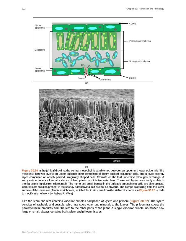 Biology - Front Matter 933
