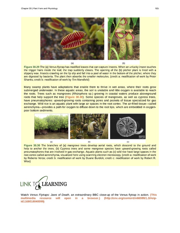 Biology - Front Matter 936