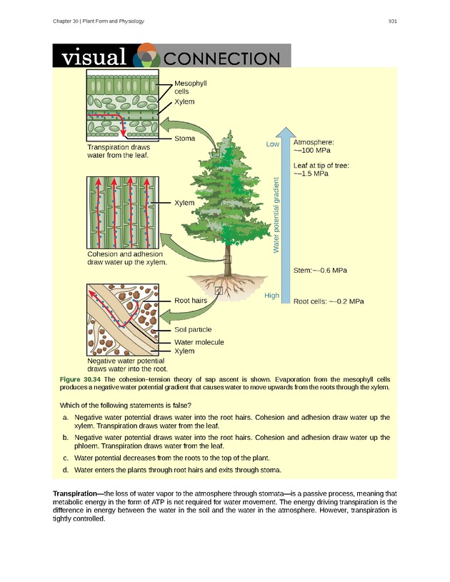 Biology - Front Matter 942