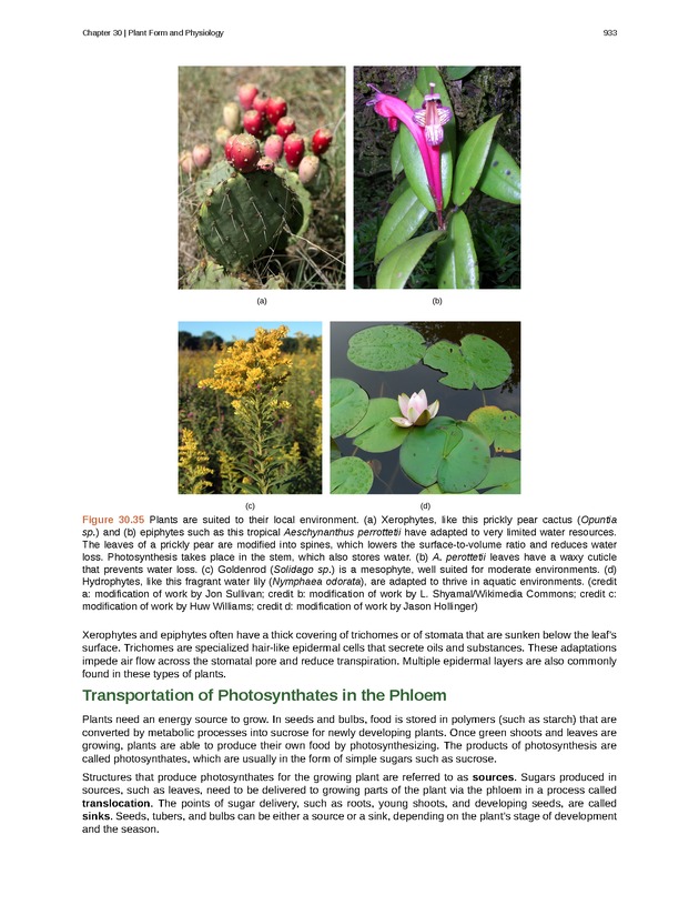 Biology - Front Matter 944