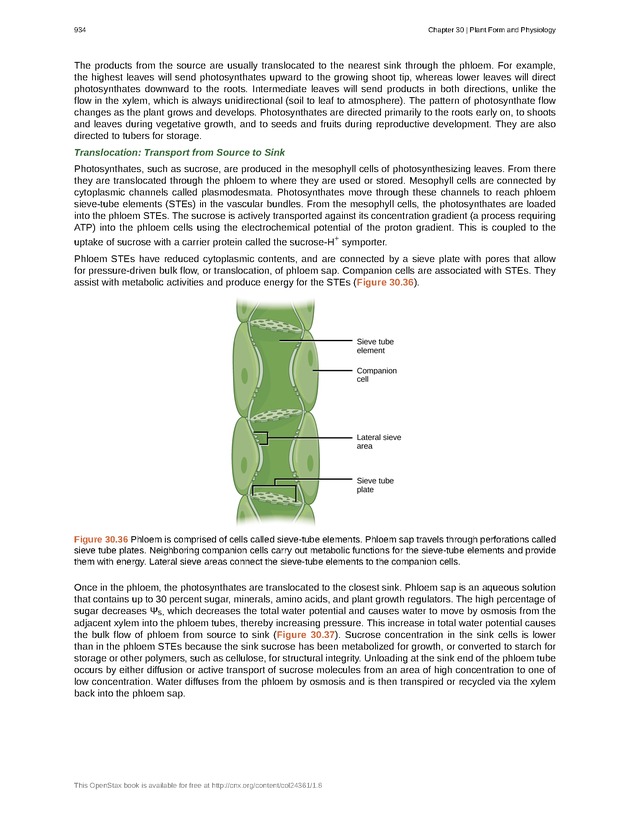Biology - Front Matter 945
