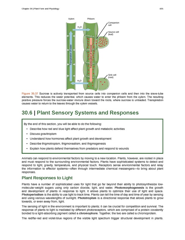 Biology - Front Matter 946
