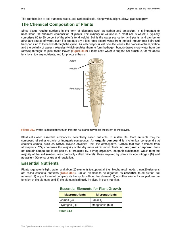 Biology - Front Matter 963