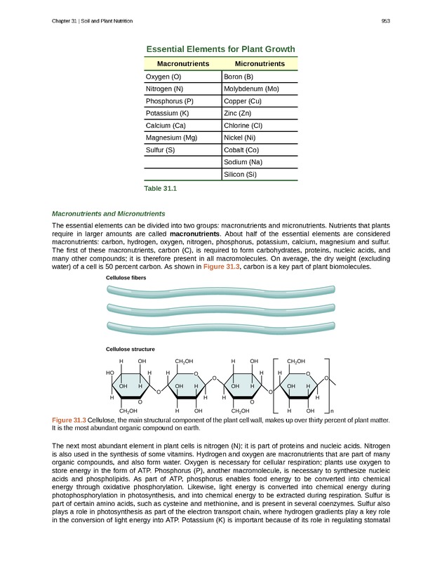 Biology - Front Matter 964