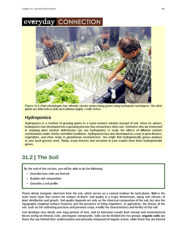 Biology - Front Matter 966