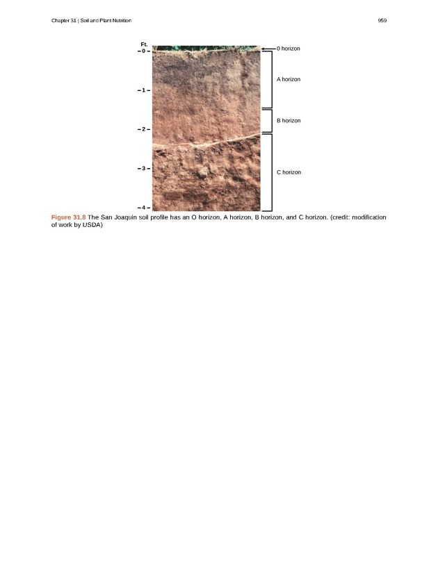 Biology - Front Matter 970