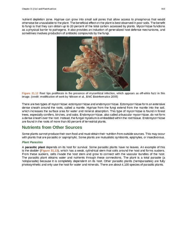 Biology - Front Matter 974