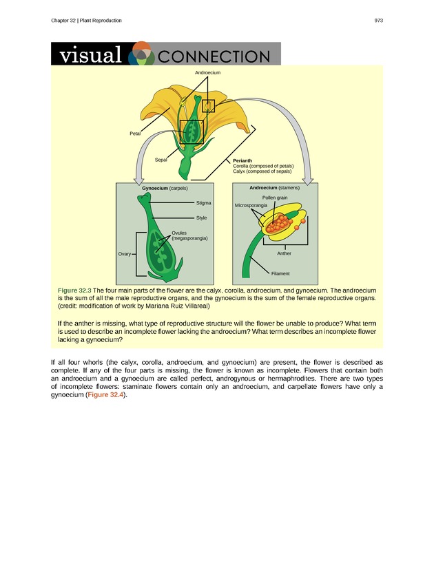 Biology - Front Matter 984