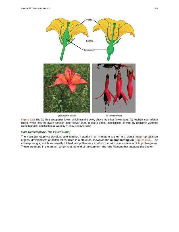 Biology - Front Matter 986