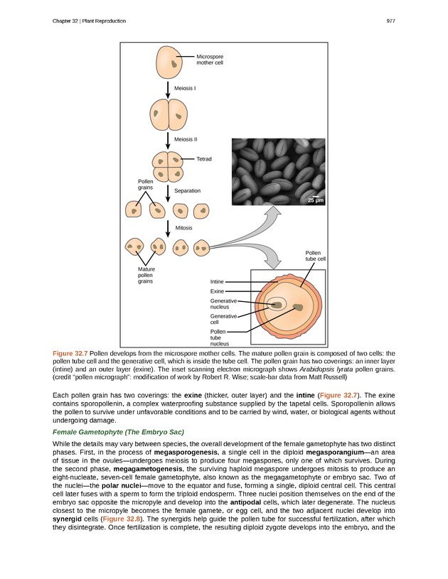 Biology - Front Matter 988