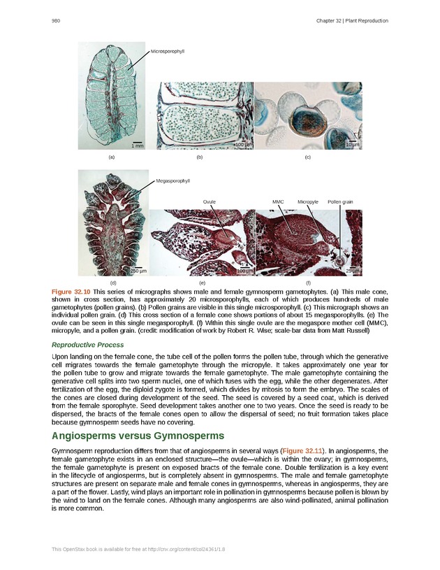 Biology - Front Matter 991