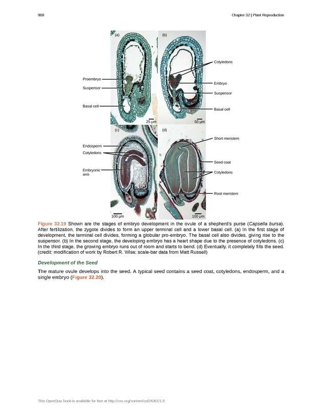 Biology - Front Matter 999