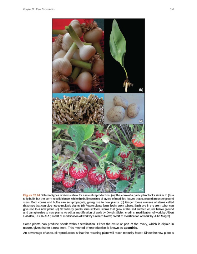 Biology - New Page