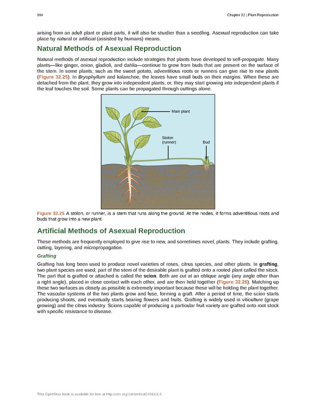 Biology - New Page