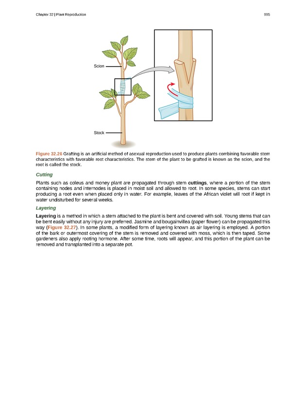 Biology - New Page