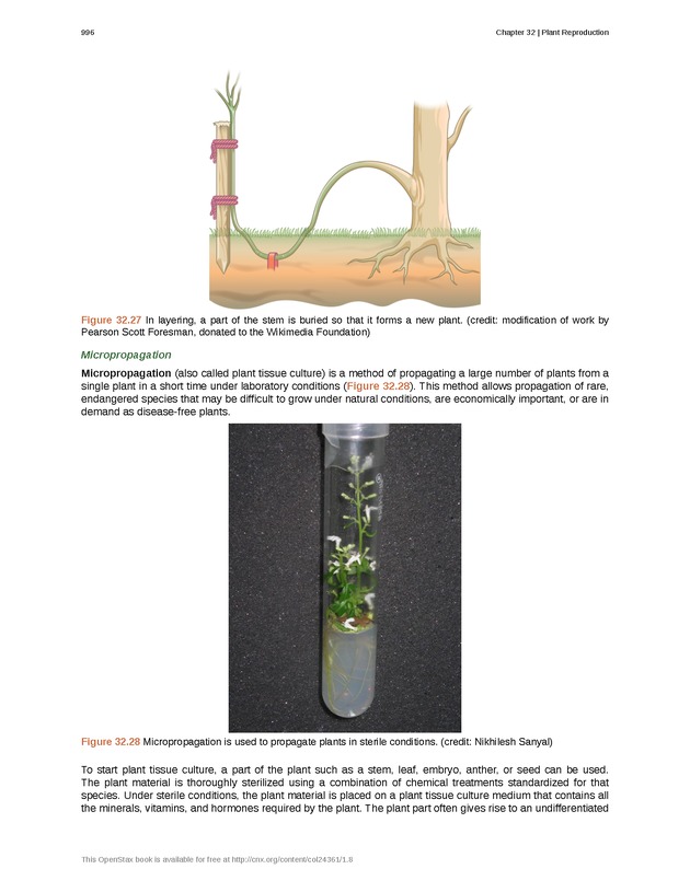 Biology - New Page