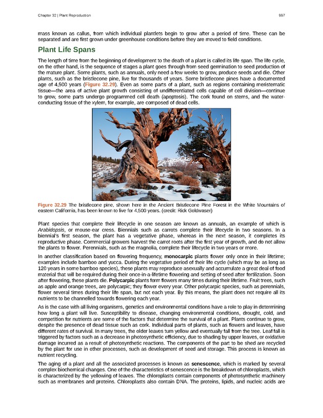 Biology - New Page