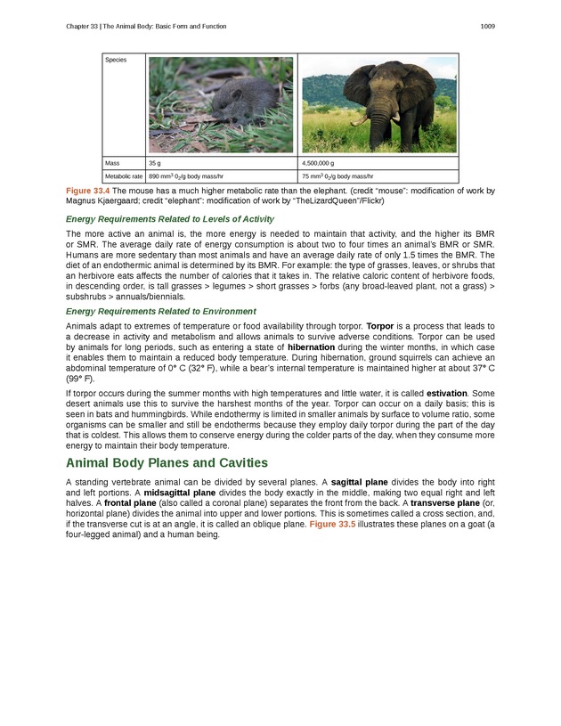 Biology - New Page