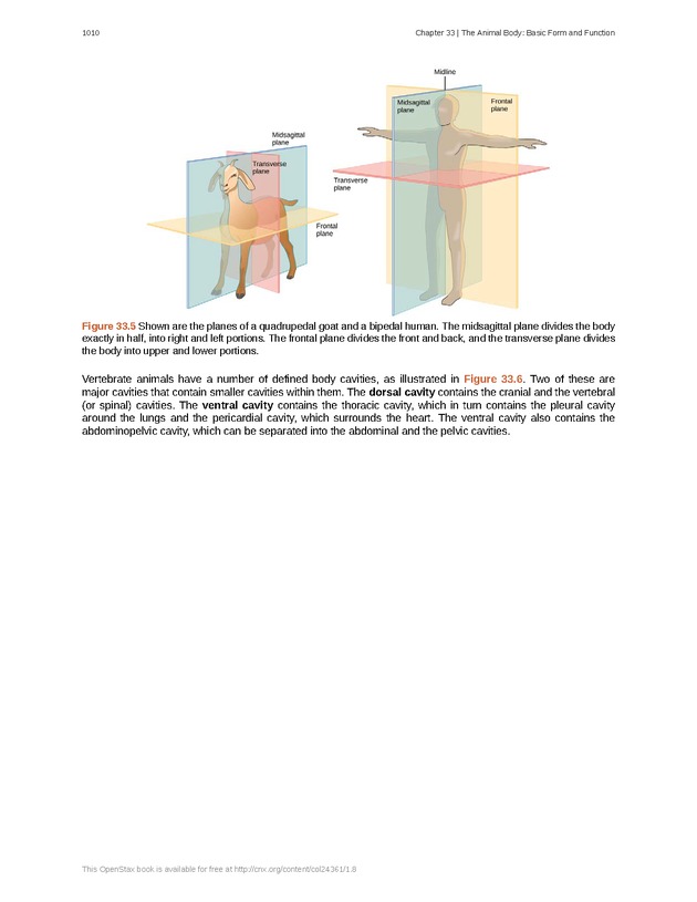 Biology - New Page