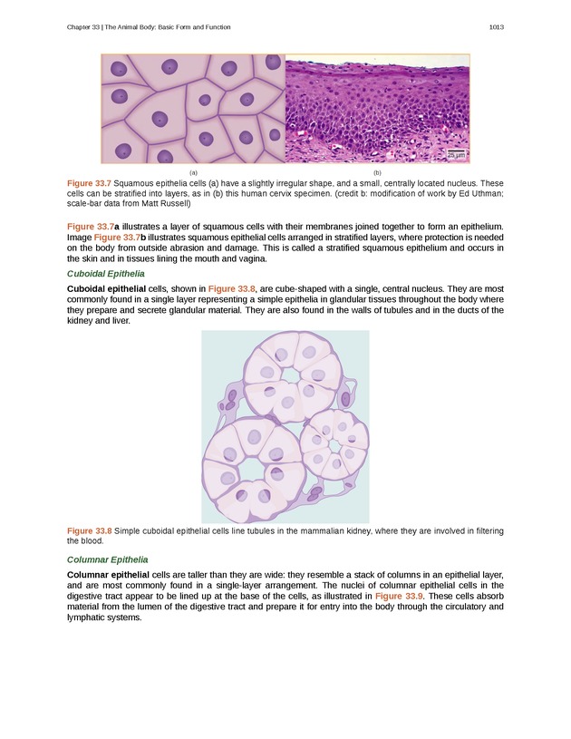 Biology - New Page