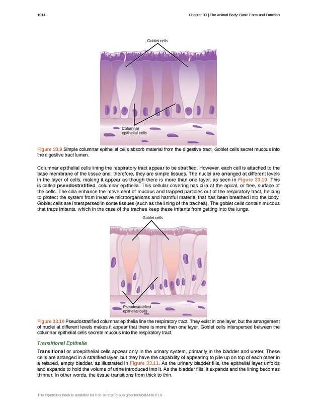 Biology - New Page