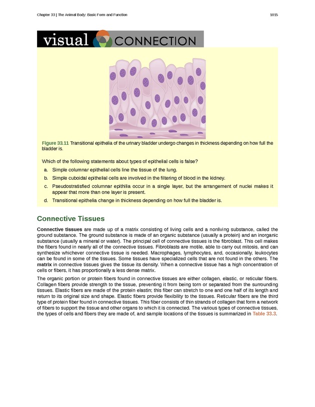 Biology - New Page