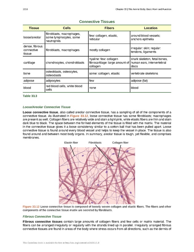 Biology - New Page