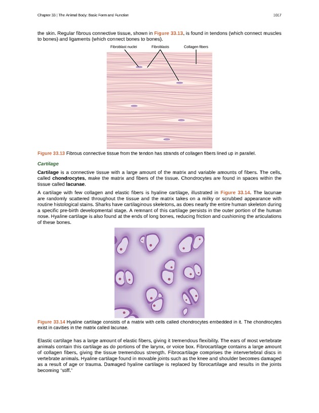 Biology - New Page