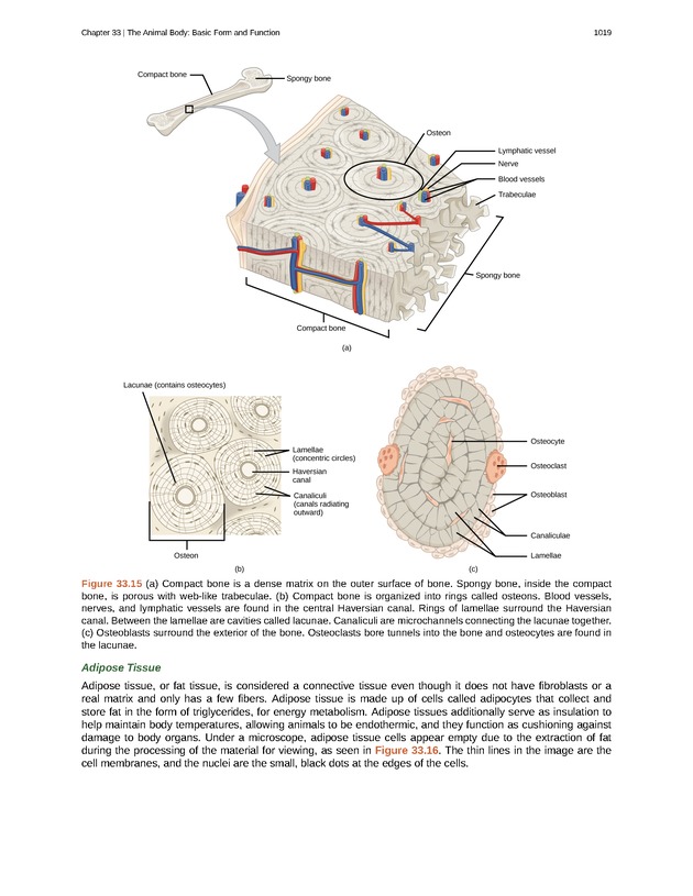 Biology - New Page