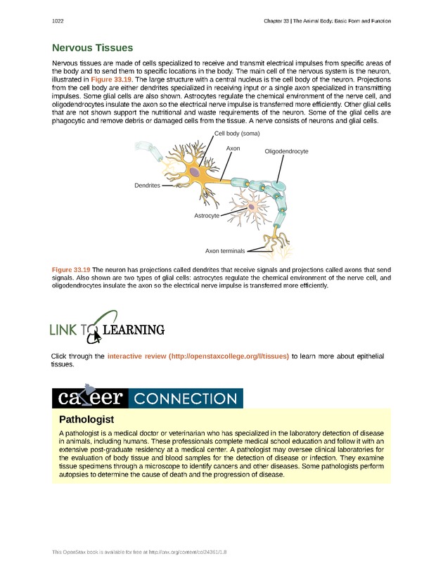 Biology - New Page