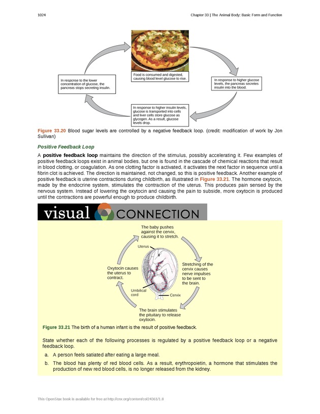 Biology - New Page