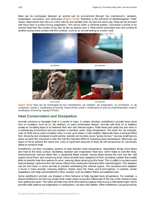Biology - New Page