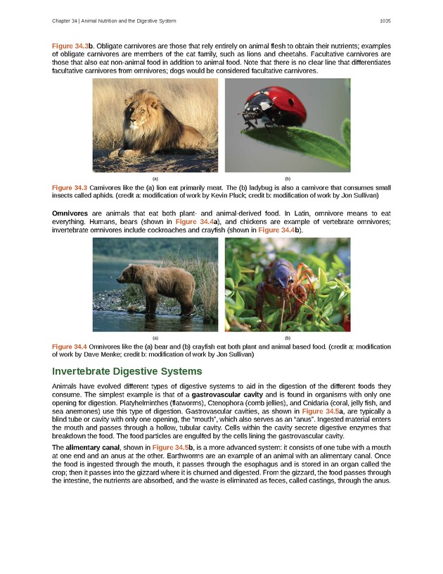 Biology - New Page